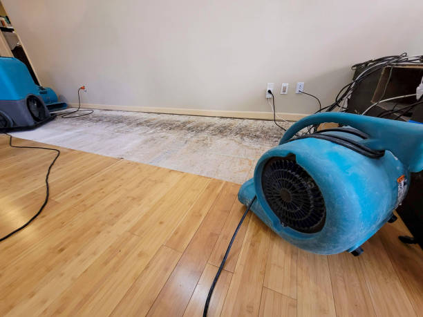 Professional Basement Flood Cleanup technician working in Greenville, SC
